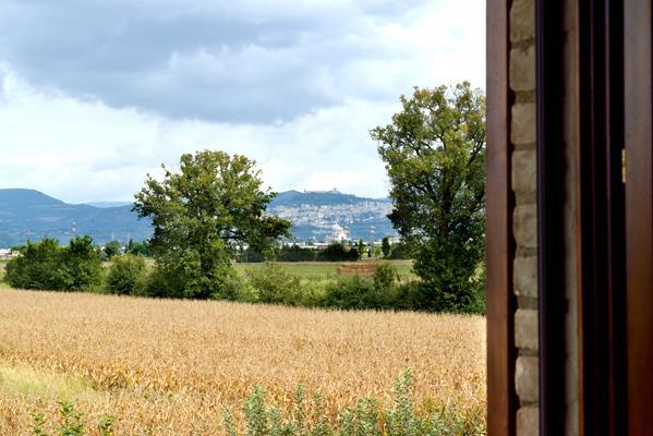 Agriturismo Bellarosa アッシジ エクステリア 写真